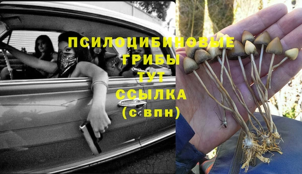 мяу мяу кристалл Иннополис