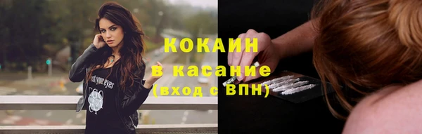 кокс Инсар