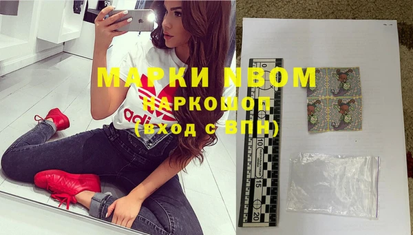 кокс Инсар
