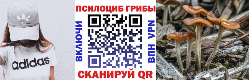 Псилоцибиновые грибы мухоморы  наркошоп  Новосибирск 