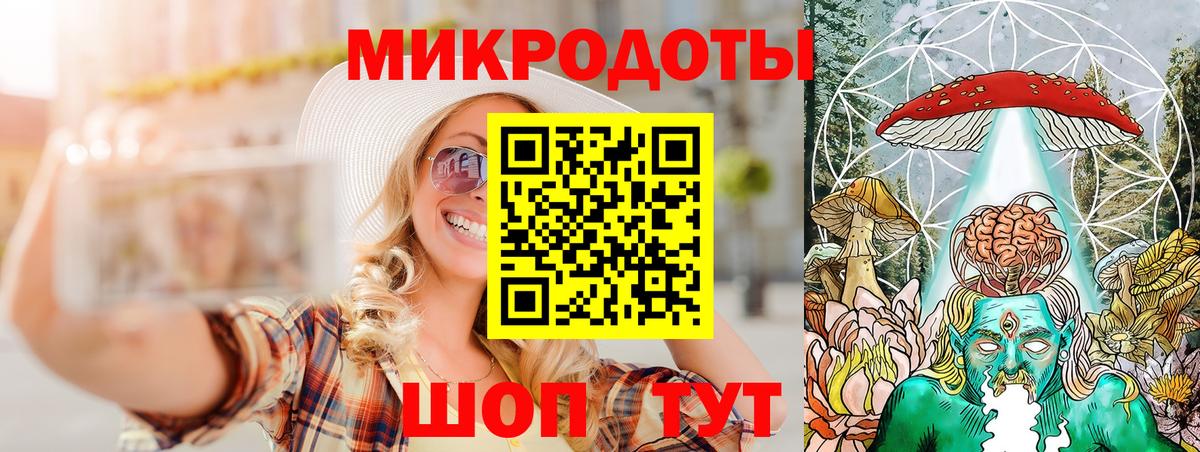 Псилоцибиновые грибы мицелий Новосибирск