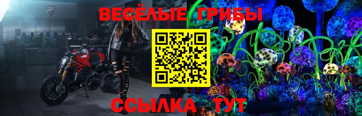 Галлюциногенные грибы MAGIC MUSHROOMS  Вход с VPN  Новосибирск 